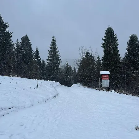 Pieninski Potok W Centrum Szczawnicy