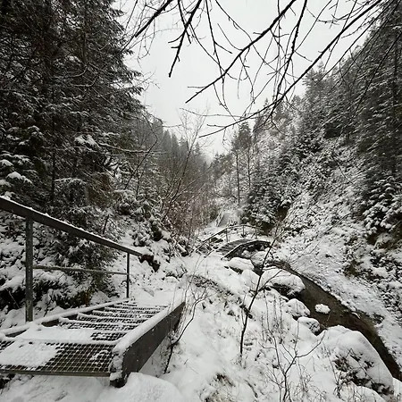 Pieninski Potok W Centrum Szczawnicy Szczawnica