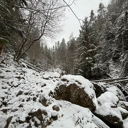 Pieninski Potok W Centrum Szczawnicy