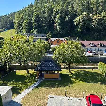 Daire Pieninski Potok W Centrum Szczawnicy Szczawnica